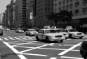 New York (12)
